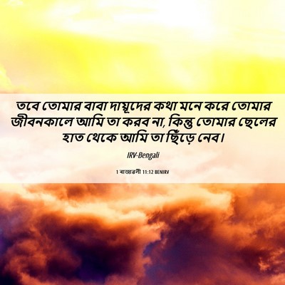 Picture 06 - 1 ৰাজাৱলী 11:12 BENIRV - তবে তোমার বাবা - Bible Verse Picture