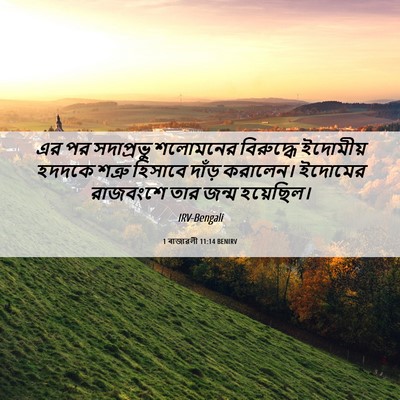 Picture 06 - 1 ৰাজাৱলী 11:14 BENIRV - এর পর সদাপ্রভু - Bible Verse Picture