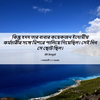 Picture 06 - 1 ৰাজাৱলী 11:17 BENIRV - কিন্তু হদদ তার - Bible Verse Picture