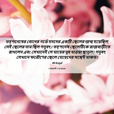Picture 06 - 1 ৰাজাৱলী 11:20 BENIRV - তহ্‌পনেষের বোনের - Bible Verse Picture