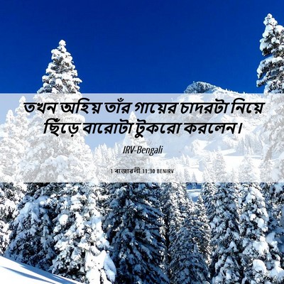 Picture 06 - 1 ৰাজাৱলী 11:30 BENIRV - তখন অহিয় তাঁর - Bible Verse Picture