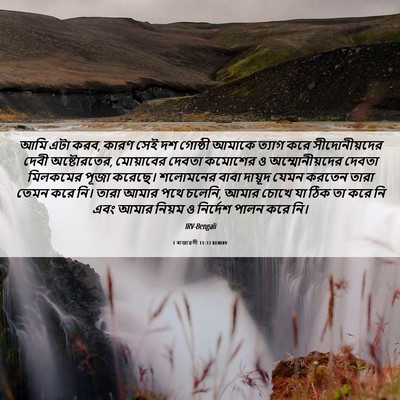 Picture 06 - 1 ৰাজাৱলী 11:33 BENIRV - আমি এটা করব, কারণ - Bible Verse Picture