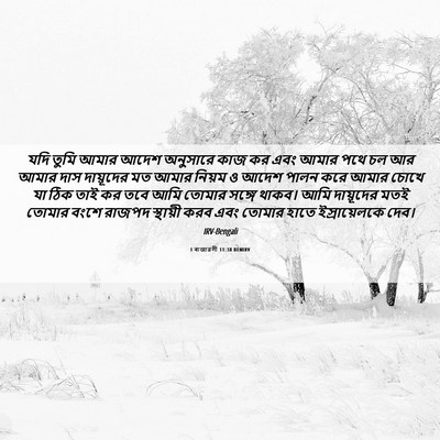 Picture 06 - 1 ৰাজাৱলী 11:38 BENIRV - যদি তুমি আমার আদেশ - Bible Verse Picture