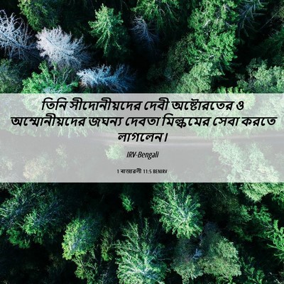 Picture 06 - 1 ৰাজাৱলী 11:5 BENIRV - তিনি সীদোনীয়দের - Bible Verse Picture