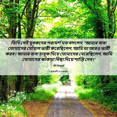 Picture 06 - 1 ৰাজাৱলী 12:14 BENIRV - তিনি সেই যুবকদের - Bible Verse Picture