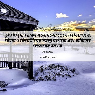 Picture 06 - 1 ৰাজাৱলী 12:23 BENIRV - তুমি যিহূদার রাজা - Bible Verse Picture