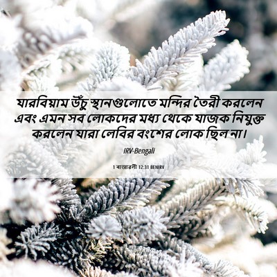 Picture 06 - 1 ৰাজাৱলী 12:31 BENIRV - যারবিয়াম উঁচু - Bible Verse Picture