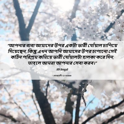 Picture 06 - 1 ৰাজাৱলী 12:4 BENIRV - “আপনার বাবা - Bible Verse Picture