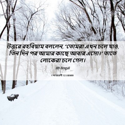 Picture 06 - 1 ৰাজাৱলী 12:5 BENIRV - উত্তরে রহবিয়াম - Bible Verse Picture