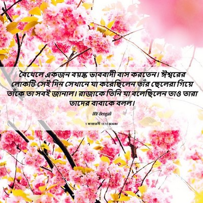 Picture 06 - 1 ৰাজাৱলী 13:11 BENIRV - বৈথেলে একজন - Bible Verse Picture
