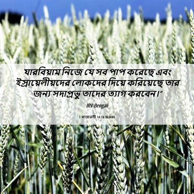 Picture 06 - 1 ৰাজাৱলী 14:16 BENIRV - যারবিয়াম নিজে যে - Bible Verse Picture