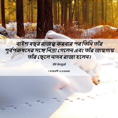 Picture 06 - 1 ৰাজাৱলী 14:20 BENIRV - বাইশ বছর রাজত্ব - Bible Verse Picture