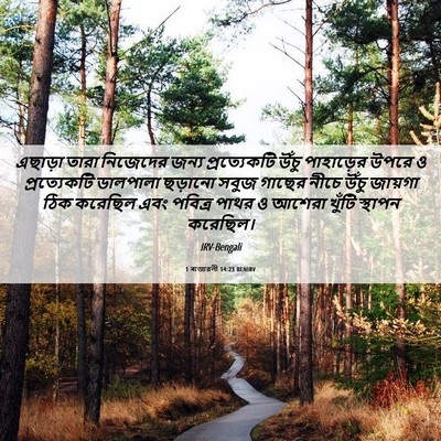 Picture 06 - 1 ৰাজাৱলী 14:23 BENIRV - এছাড়া তারা - Bible Verse Picture