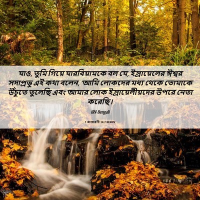 Picture 06 - 1 ৰাজাৱলী 14:7 BENIRV - যাও, তুমি গিয়ে - Bible Verse Picture