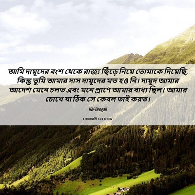 Picture 06 - 1 ৰাজাৱলী 14:8 BENIRV - আমি দায়ূদের বংশ - Bible Verse Picture