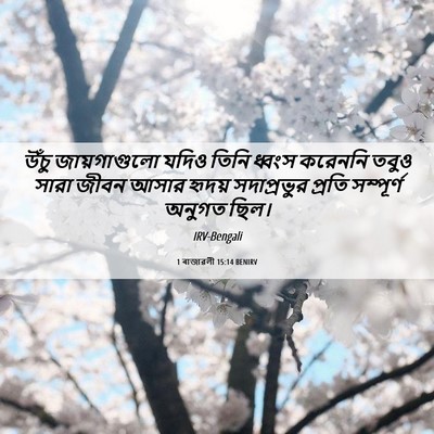 Picture 06 - 1 ৰাজাৱলী 15:14 BENIRV - উঁচু জায়গাগুলো - Bible Verse Picture