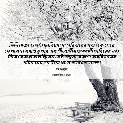 Picture 06 - 1 ৰাজাৱলী 15:29 BENIRV - তিনি রাজা হয়েই - Bible Verse Picture