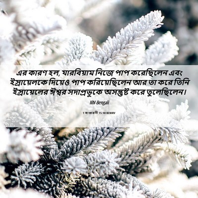 Picture 06 - 1 ৰাজাৱলী 15:30 BENIRV - এর কারণ হল, - Bible Verse Picture