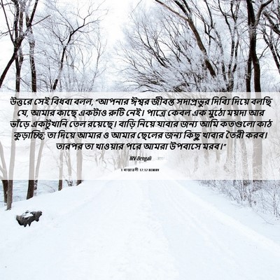Picture 06 - 1 ৰাজাৱলী 17:12 BENIRV - উত্তরে সেই বিধবা - Bible Verse Picture