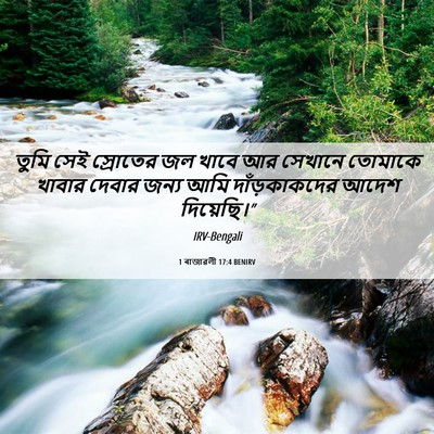 Picture 06 - 1 ৰাজাৱলী 17:4 BENIRV - তুমি সেই স্রোতের - Bible Verse Picture