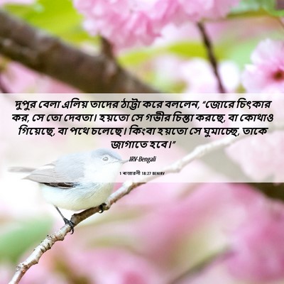 Picture 06 - 1 ৰাজাৱলী 18:27 BENIRV - দুপুর বেলা এলিয় - Bible Verse Picture