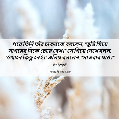 Picture 06 - 1 ৰাজাৱলী 18:43 BENIRV - পরে তিনি তাঁর - Bible Verse Picture