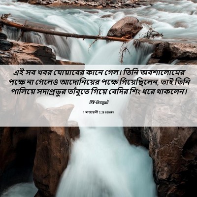 Picture 06 - 1 ৰাজাৱলী 2:28 BENIRV - এই সব খবর যোয়াবের - Bible Verse Picture