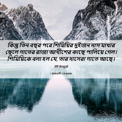 Picture 06 - 1 ৰাজাৱলী 2:39 BENIRV - কিন্তু তিন বছর পরে - Bible Verse Picture