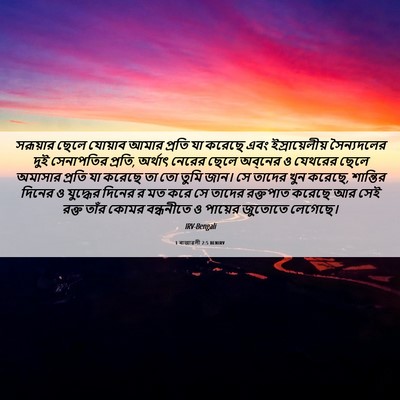 Picture 06 - 1 ৰাজাৱলী 2:5 BENIRV - সরূয়ার ছেলে - Bible Verse Picture