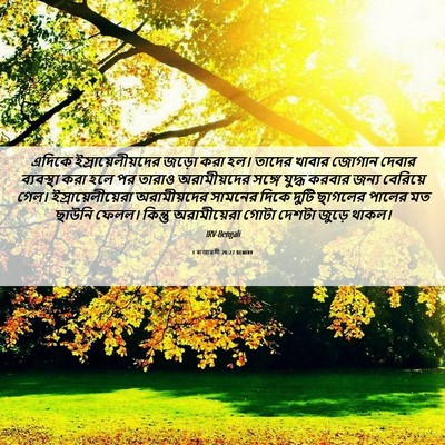 Picture 06 - 1 ৰাজাৱলী 20:27 BENIRV - এদিকে - Bible Verse Picture