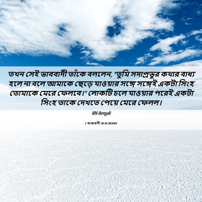 Picture 06 - 1 ৰাজাৱলী 20:36 BENIRV - তখন সেই ভাববাদী - Bible Verse Picture