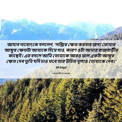 Picture 06 - 1 ৰাজাৱলী 21:2 BENIRV - আহাব নাবোৎকে - Bible Verse Picture