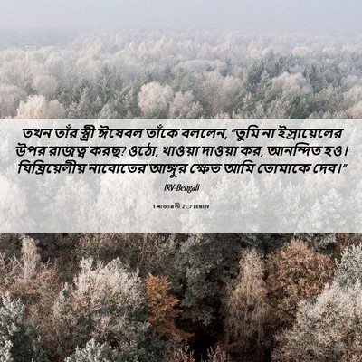 Picture 06 - 1 ৰাজাৱলী 21:7 BENIRV - তখন তাঁর স্ত্রী - Bible Verse Picture