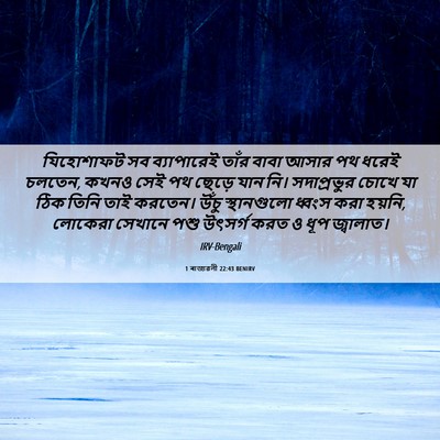 Picture 06 - 1 ৰাজাৱলী 22:43 BENIRV - যিহোশাফট সব - Bible Verse Picture