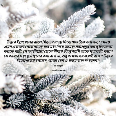 Picture 06 - 1 ৰাজাৱলী 22:8 BENIRV - উত্তরে - Bible Verse Picture