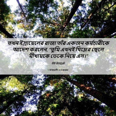 Picture 06 - 1 ৰাজাৱলী 22:9 BENIRV - তখন ইস্রায়েলের - Bible Verse Picture