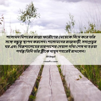 Picture 06 - 1 ৰাজাৱলী 3:1 BENIRV - শলোমন মিশরের রাজা - Bible Verse Picture