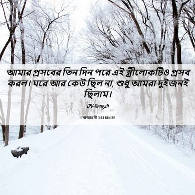 Picture 06 - 1 ৰাজাৱলী 3:18 BENIRV - আমার প্রসবের তিন - Bible Verse Picture