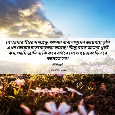 Picture 06 - 1 ৰাজাৱলী 3:7 BENIRV - হে আমার ঈশ্বর - Bible Verse Picture
