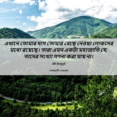 Picture 06 - 1 ৰাজাৱলী 3:8 BENIRV - এখানে তোমার দাস - Bible Verse Picture