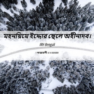 Picture 06 - 1 ৰাজাৱলী 4:14 BENIRV - মহনয়িমে ইদ্দোর - Bible Verse Picture