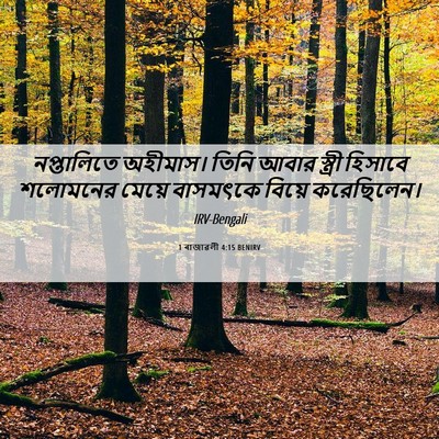 Picture 06 - 1 ৰাজাৱলী 4:15 BENIRV - নপ্তালিতে অহীমাস। - Bible Verse Picture
