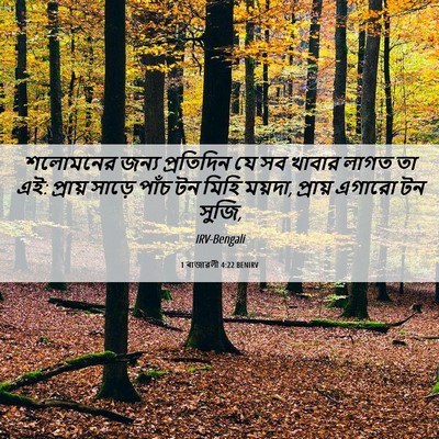 Picture 06 - 1 ৰাজাৱলী 4:22 BENIRV - শলোমনের জন্য - Bible Verse Picture