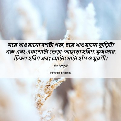 Picture 06 - 1 ৰাজাৱলী 4:23 BENIRV - ঘরে খাওয়ানো দশটা - Bible Verse Picture