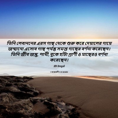 Picture 06 - 1 ৰাজাৱলী 4:33 BENIRV - তিনি লেবাননের এরস - Bible Verse Picture