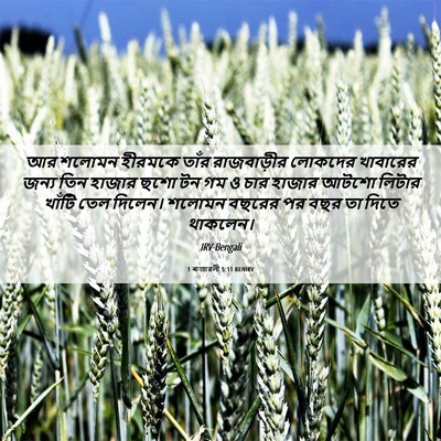 Picture 06 - 1 ৰাজাৱলী 5:11 BENIRV - আর শলোমন হীরমকে - Bible Verse Picture