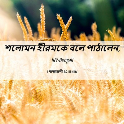 Picture 06 - 1 ৰাজাৱলী 5:2 BENIRV - শলোমন হীরমকে বলে - Bible Verse Picture