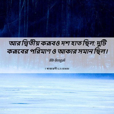 Picture 06 - 1 ৰাজাৱলী 6:25 BENIRV - আর দ্বিতীয় করূবও - Bible Verse Picture
