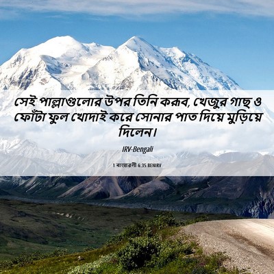 Picture 06 - 1 ৰাজাৱলী 6:35 BENIRV - সেই পাল্লাগুলোর - Bible Verse Picture