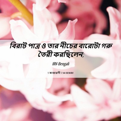 Picture 06 - 1 ৰাজাৱলী 7:44 BENIRV - বিরাট পাত্র ও তার - Bible Verse Picture